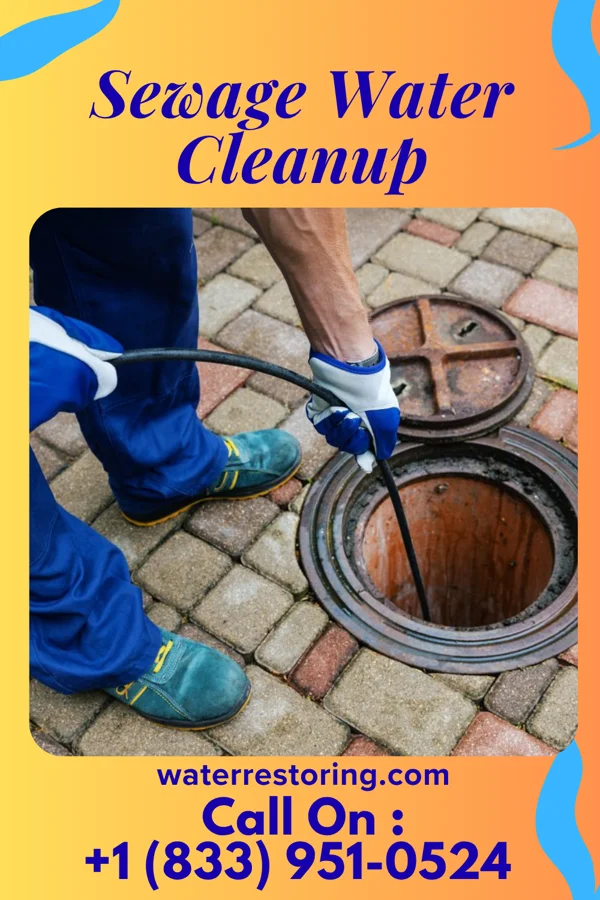 Sewage Water Cleanup in Shepherd, TX